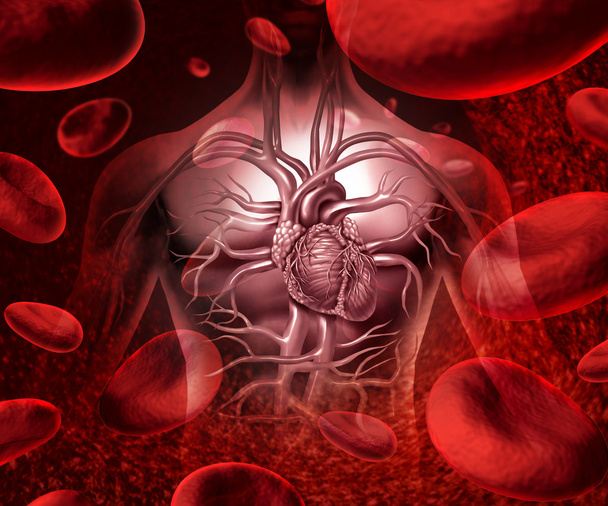 Blood System And Circulation - Fotó, kép