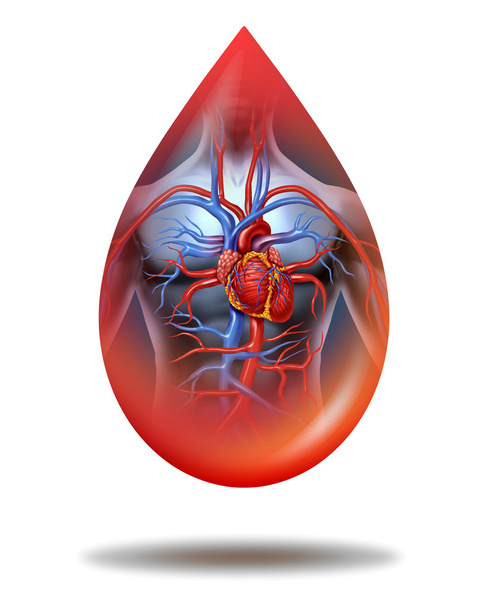 Human Heart Blood Drop - Photo, Image