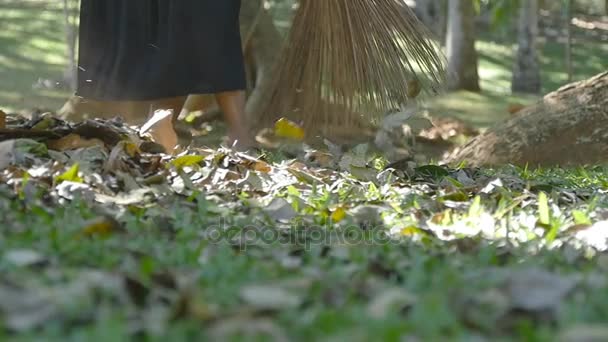 Female indian janitor in the park sweeps the leaves rakes during the day. Cleaning area from fall leaves. Slow motion - Footage, Video