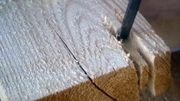 a worker uses a chisel to work with wood Board - Footage, Video