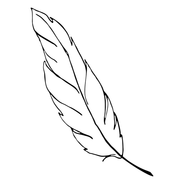 Monochrome black and white bird feather line art vector - Vector, Image