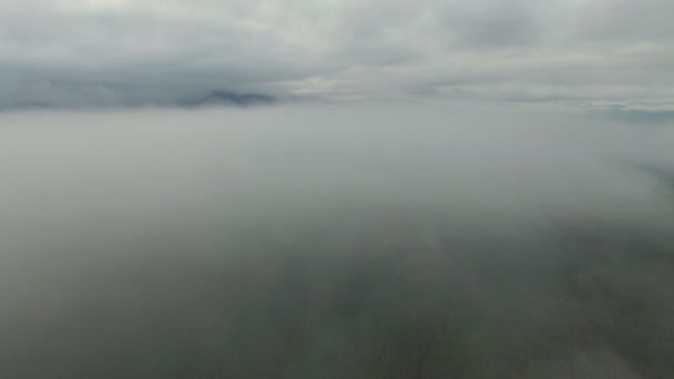 Schöner Nebel. Luftbild - Filmmaterial, Video