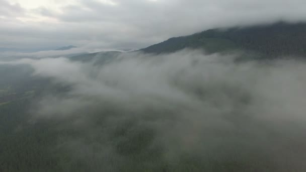 красивый полет в тумане
. - Кадры, видео