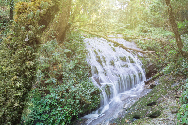 Deep forest Waterfall in Kew Mae Pan - Photo, Image