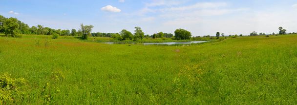 Panorama. Paisaje con prado y pequeño lago. Plesia
 - Foto, imagen