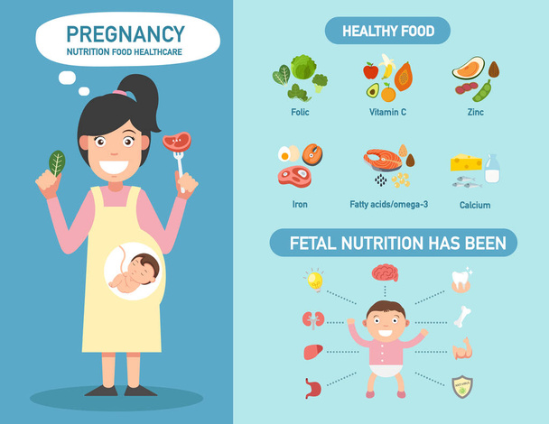 Pregnancy nutrition food healthcare infographics,illustration. - Vector, Image