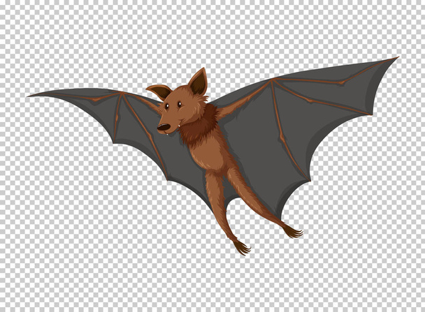 Wild bat flying on transparent background - Vector, Image