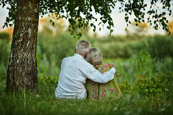 Happy senior couple outdoors - Foto, Imagem