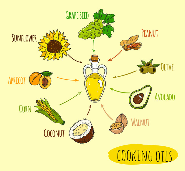 Hand drawn infographic of cooking oil sorts - Vetor, Imagem