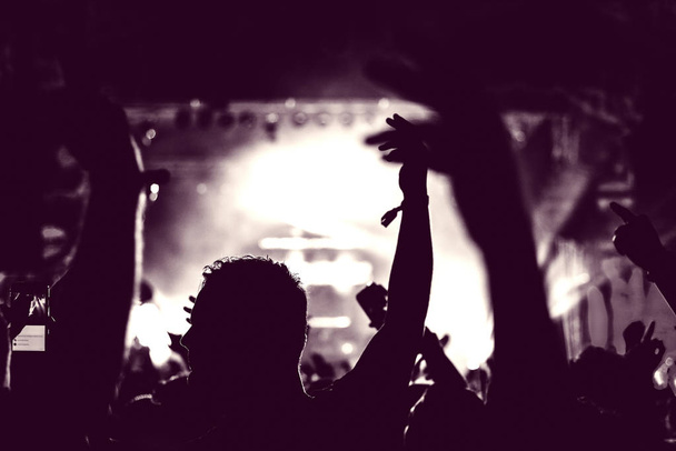 Folle di pubblico con le mani alzate a un festival musicale
 - Foto, immagini