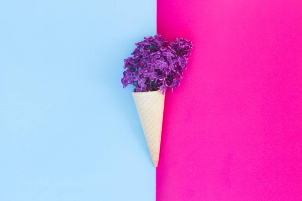 Lilac on pink background - Photo, Image