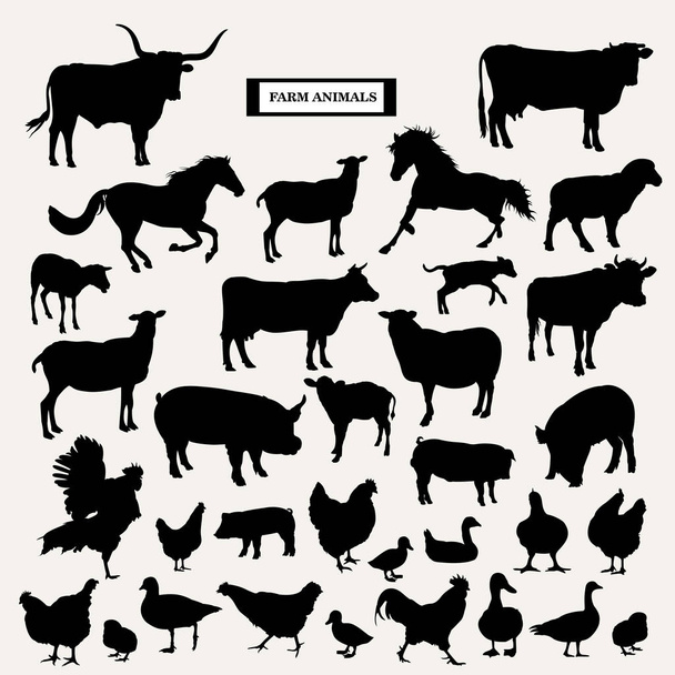 сельскохозяйственные животные на белом фоне
  - Вектор,изображение