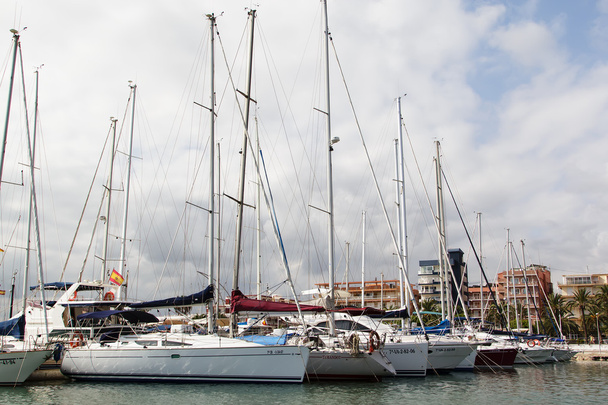 Sailboats moored in the harbor - Photo, Image