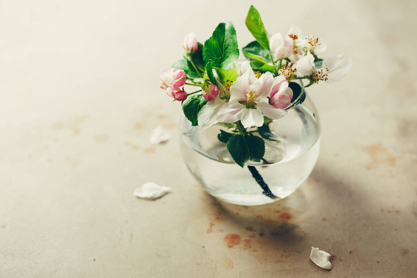 ガラスの花瓶にリンゴの花  - 写真・画像
