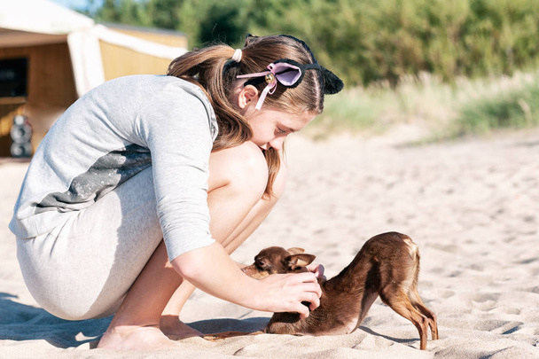 Young girl scratching her lovely dog's back on summer beach - Photo, Image