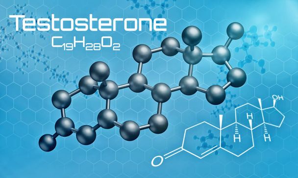Testosteronin kolmiulotteinen molekyylimalli - 3d renderöinti
 - Valokuva, kuva