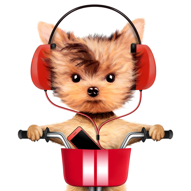 Cãozinho adorável com fones de ouvido sentado em bicicleta
 - Foto, Imagem