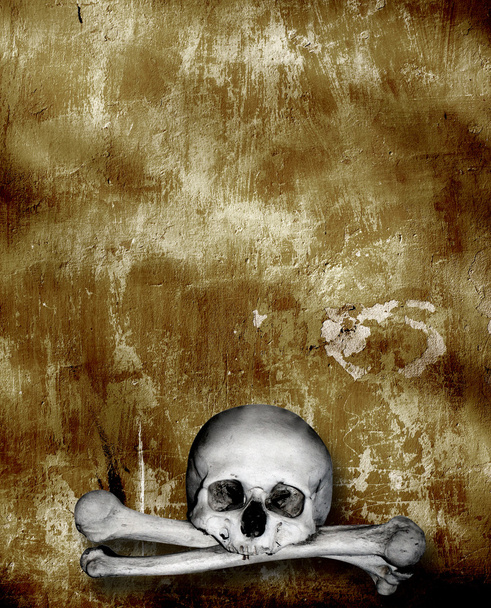 Human skulls and bones - Фото, изображение