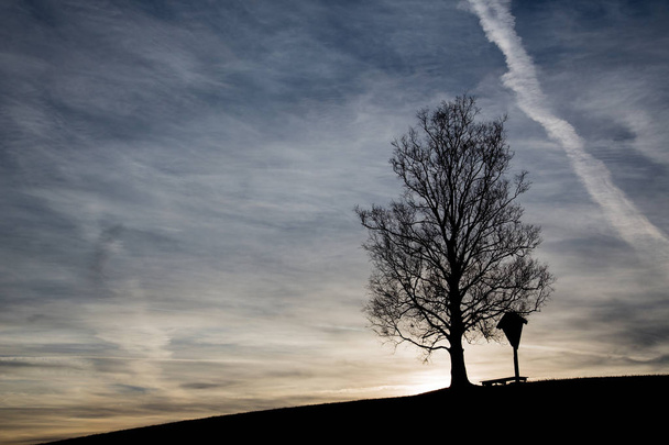 Sunrise with tree and black silhouette - Foto, immagini