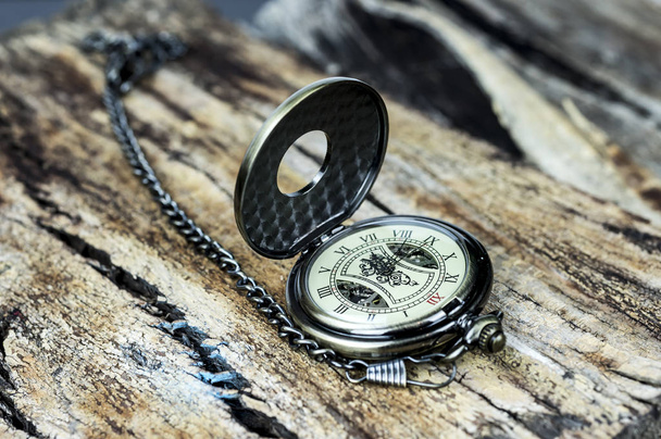 Vintage steampunk pocket watch - 写真・画像