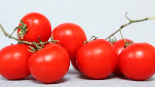 Gri arka planı kırmızı domates ile ücretsiz yapma eller alanı kopyalayın. - Video, Çekim