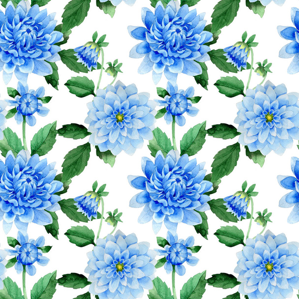 Wildflower blue dahila flower pattern in a watercolor style isolated. - Photo, Image