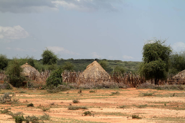 villages traditionnels et cabanes de paille dans la vallée omo de l'ethiopie - Photo, image