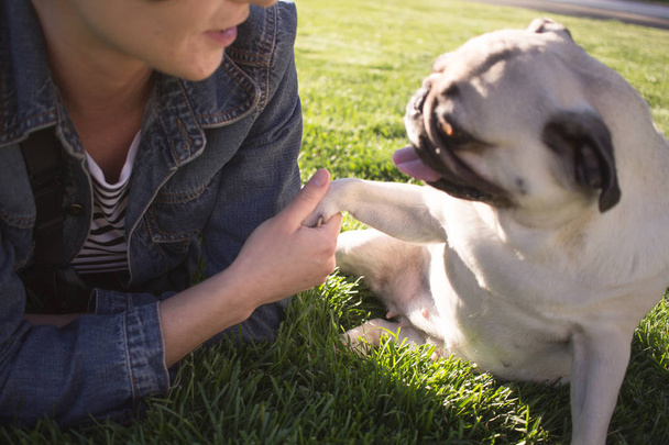 portrait of young woman and pug having god time in the park on green grass during sunset or sunrise  - Foto, Imagen