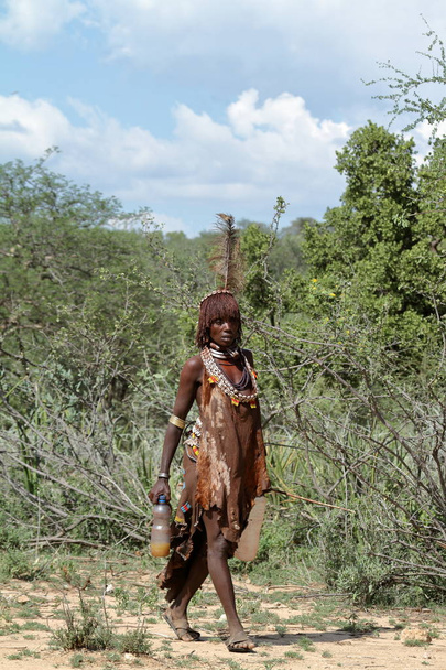 Plemienia Hamar w dolinie Omo w Etiopii - Zdjęcie, obraz