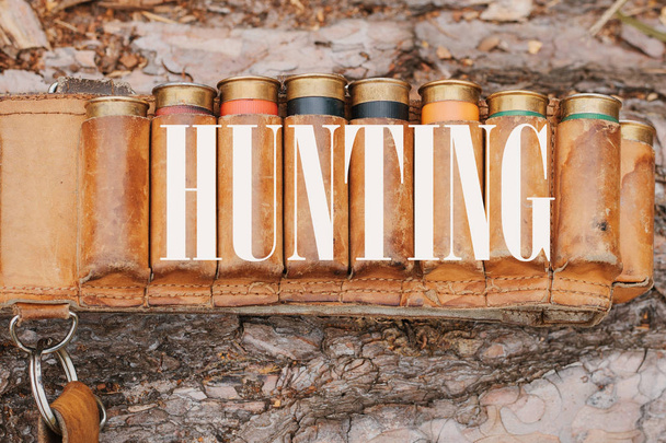Autumn hunting season. Hunting Conceptual background. Outdoor sports. - Photo, Image