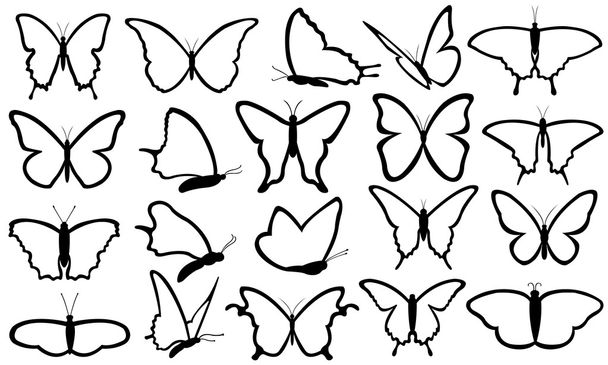 Papillons
 - Vecteur, image