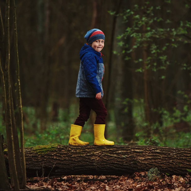 little funny boy on big log - Foto, Imagen