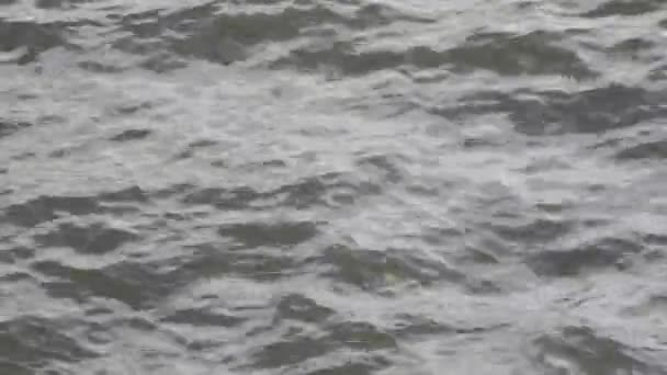 κύματα του νερού σε ένα ποτάμι - Πλάνα, βίντεο