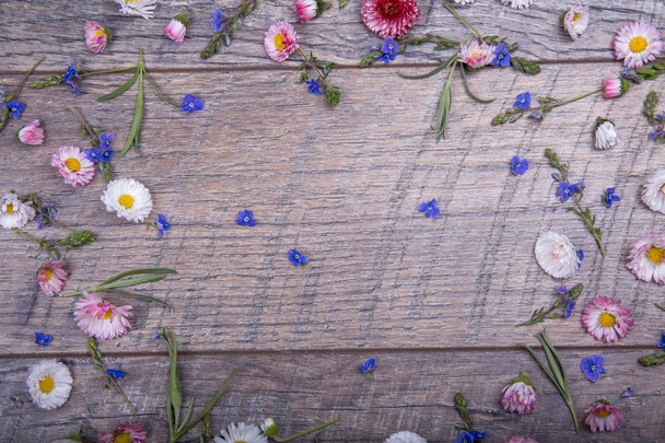 kleine Feldblumen auf verwittertem Holzgrund. Retro-Stil floralen Hintergrund. - Foto, Bild