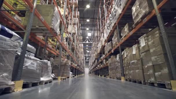 Cardboxes のラック倉庫の内部 - 映像、動画