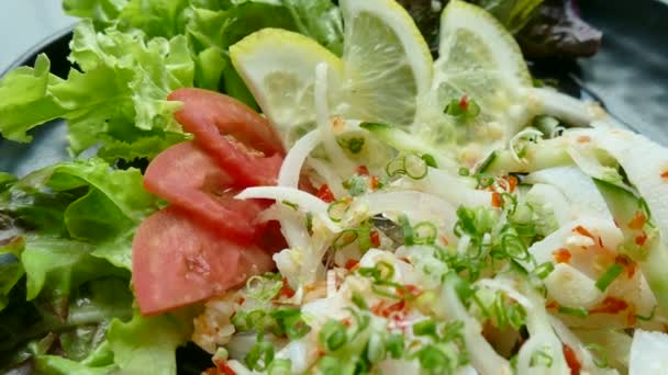 syrové a čerstvý salát  - Záběry, video