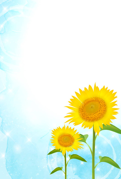 Sunflower summer flower background - Vector, Image