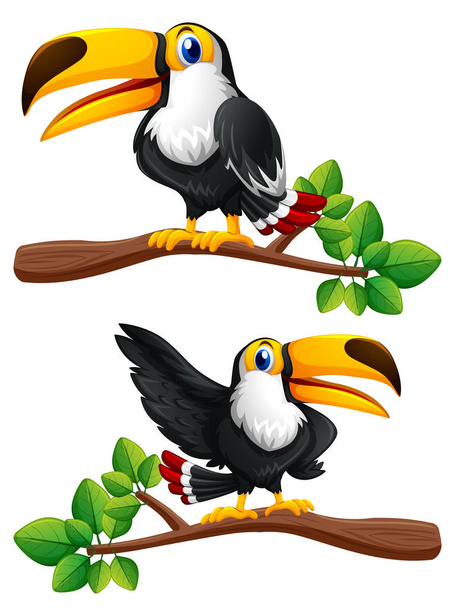 Δύο toucan πουλιά στα κλαδιά - Διάνυσμα, εικόνα