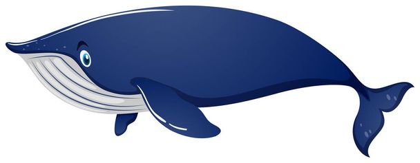 Blue whale on white background - Vector, Image