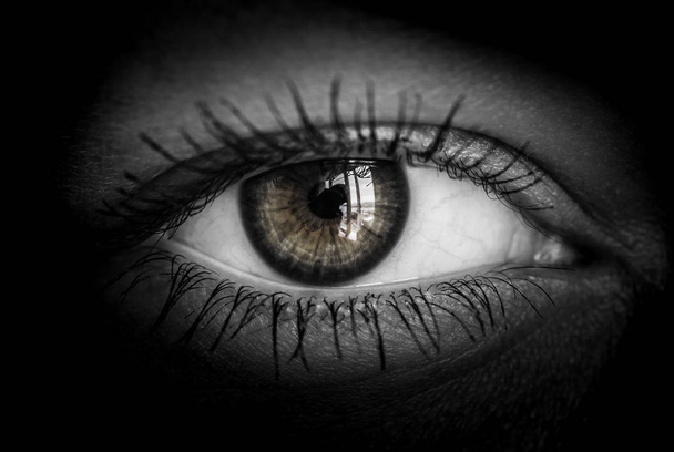  Human eye in black and white toned. - Zdjęcie, obraz