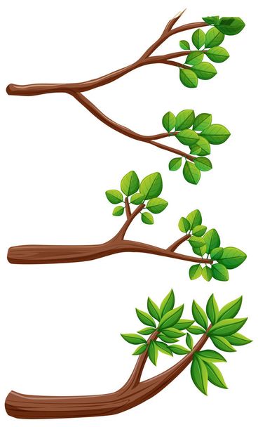 Three different kinds of branches - Vector, Image