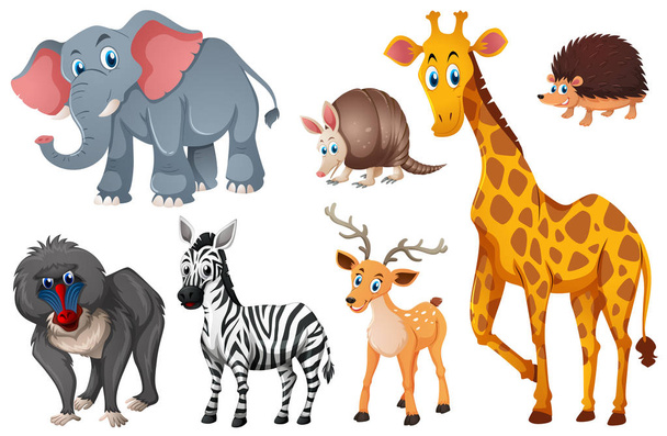Many types of wild animals - Vector, Image