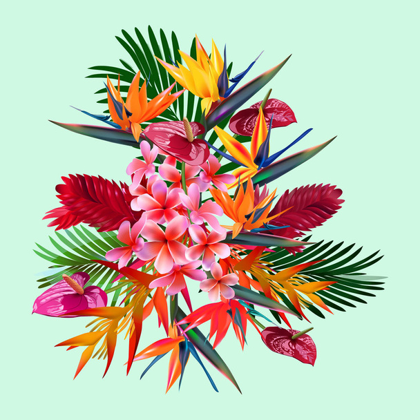 composition of tropical  flowers, leaves, vines:  Strelitzia, Plumeria, South America, Central Africa, Southeast Asia and Australia. Monsoon forests, Mangroves - Vektor, Bild