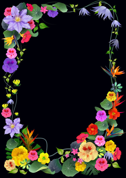 Σύνθεση από τροπικά λουλούδια, φύλλα, άμπελοι: Strelitzia, Πλουμέρια, Νότια Αμερική, Κεντρική Αφρική, Νοτιοανατολική Ασία και την Αυστραλία. Δάση μουσώνα, ριζοφόρων - Διάνυσμα, εικόνα
