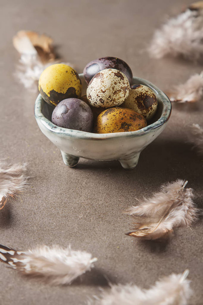 Multi-colored Easter egg. Quail eggs in a nest with feathers. Da - Foto, afbeelding
