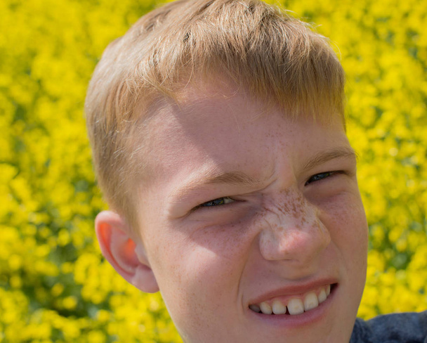 Child is standing in a rape field - Photo, Image