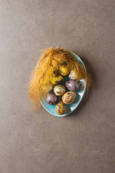 Multi-colored Easter egg. Quail eggs with feathers. Dark backgro - Zdjęcie, obraz