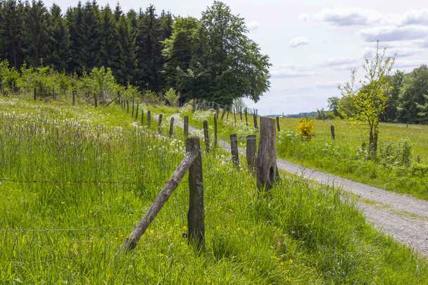 Bergisches Land in Germany -  spring meadows - Foto, imagen