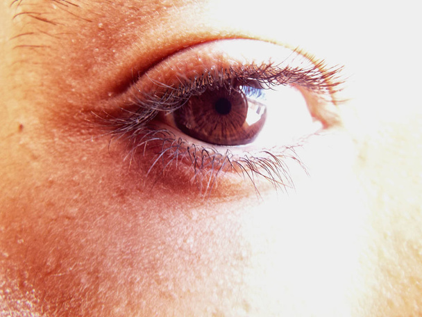 Makro insan gözü - Fotoğraf, Görsel