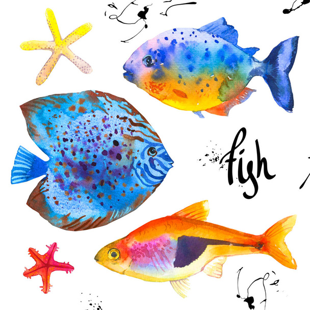 Set of tropical marine fish. Watercolor illustration with hand drawn aquarium exotic fish on white background. - 写真・画像